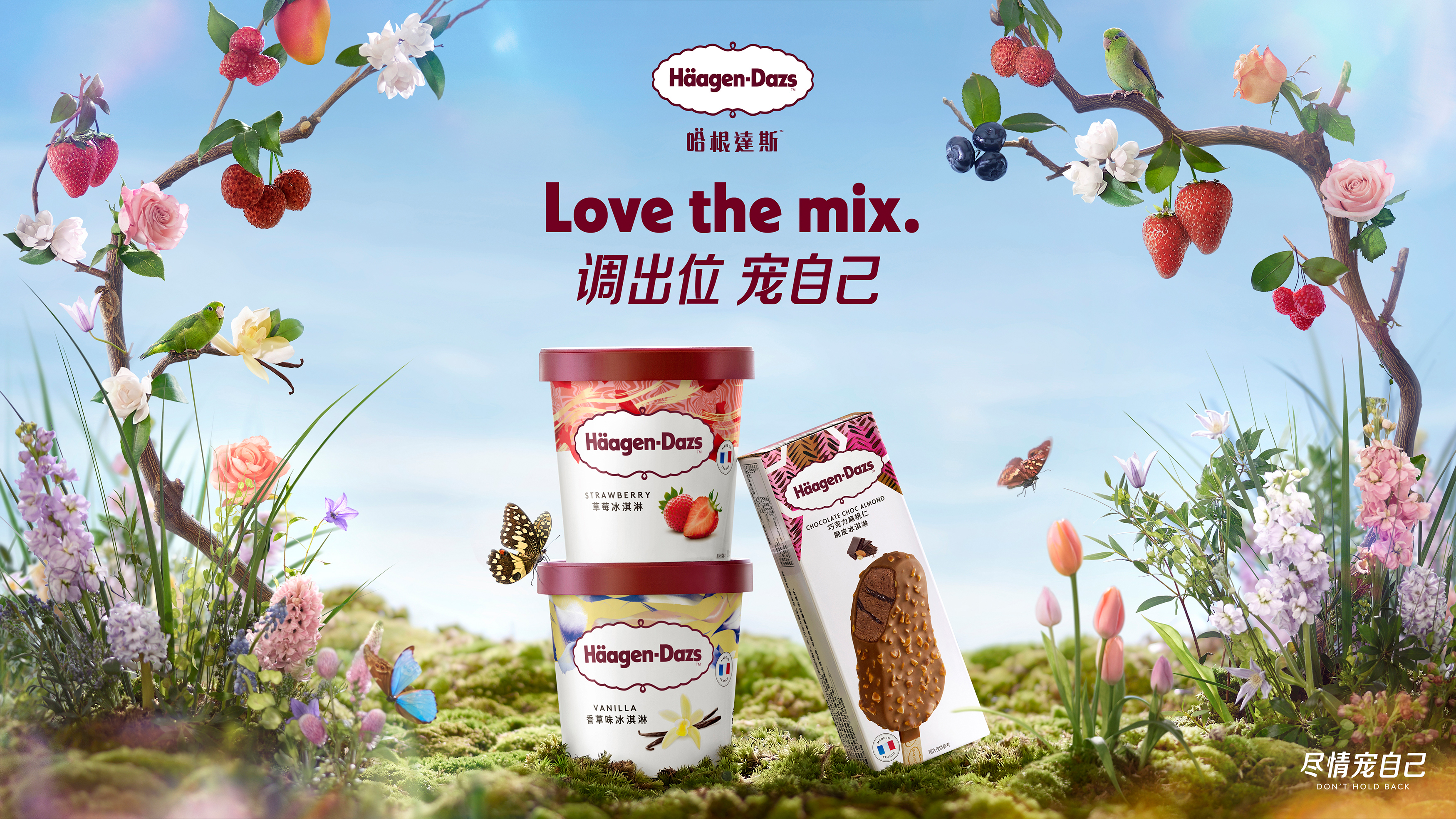 Häagen-Dazs 哈根达斯