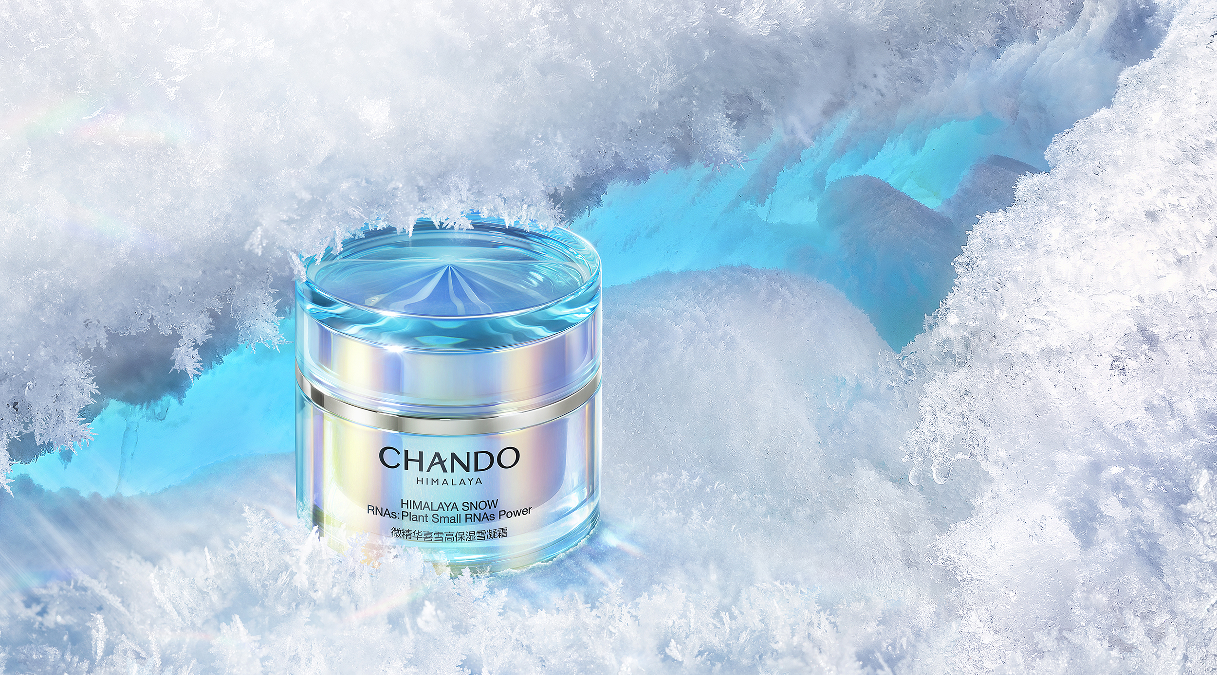 Chando_喜雪PKV_横版 拷贝.jpg